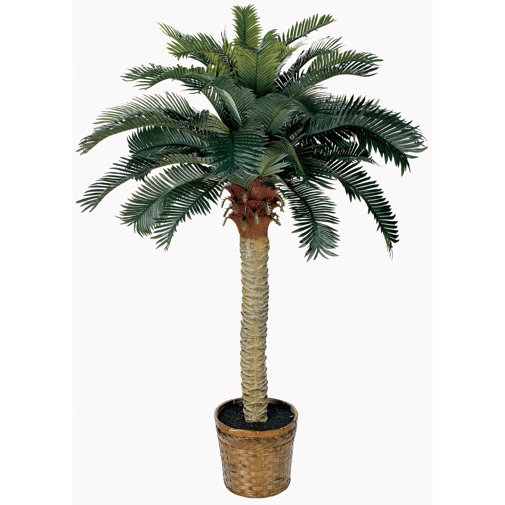 Beachcrest Home Palm Tree with Basket & Reviews Wayfair.ca